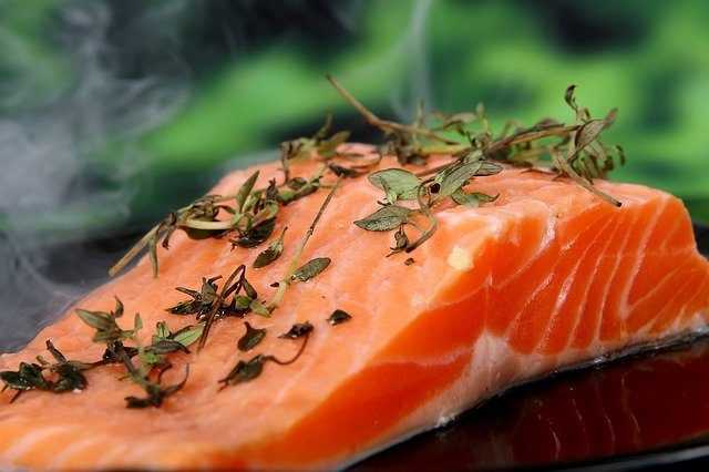 Salmon Fish Iron Rich Foods For Kids