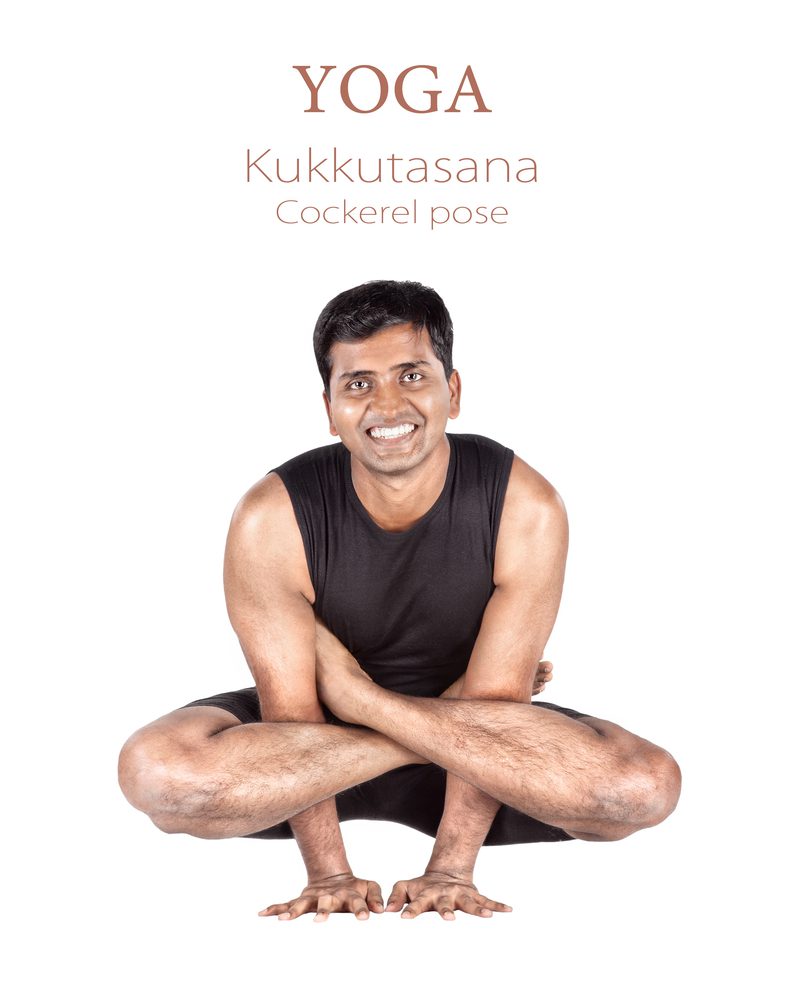 Kukkut asana