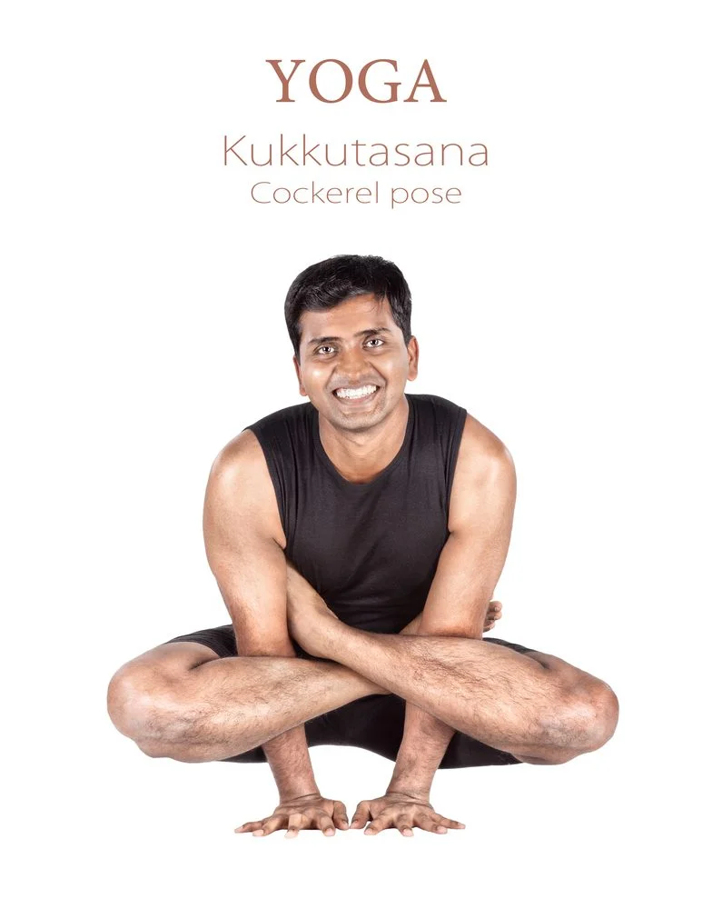 Kukkut asana