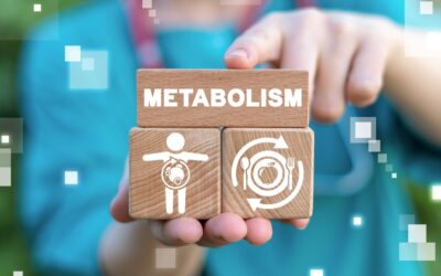 What Is Metabolism And How It Works?