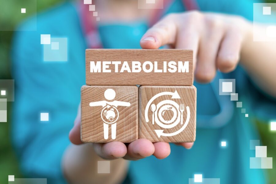 what is metabolism