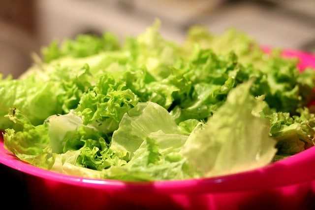 lettuce Food Weight Loss Weight Loss For Vegetarian