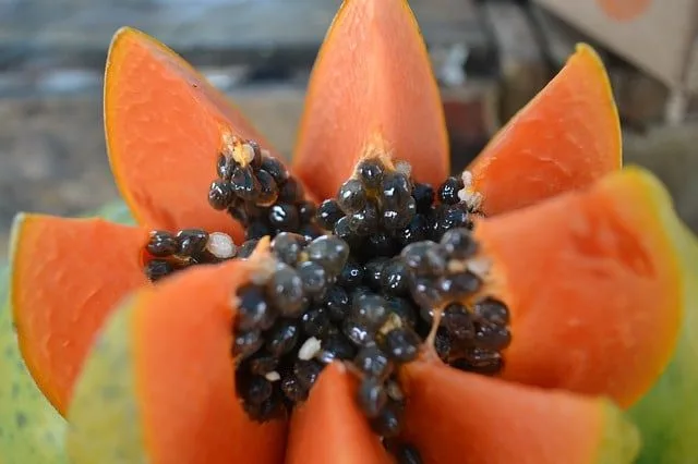 papaya Fruits Healthiest Fruits In the World