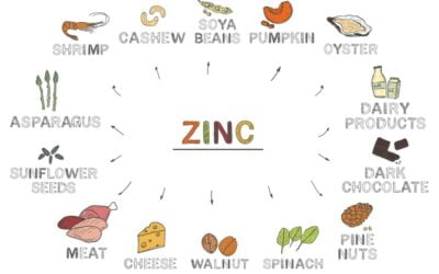 14 Zinc Rich Food Which Boost Your Immunization Power