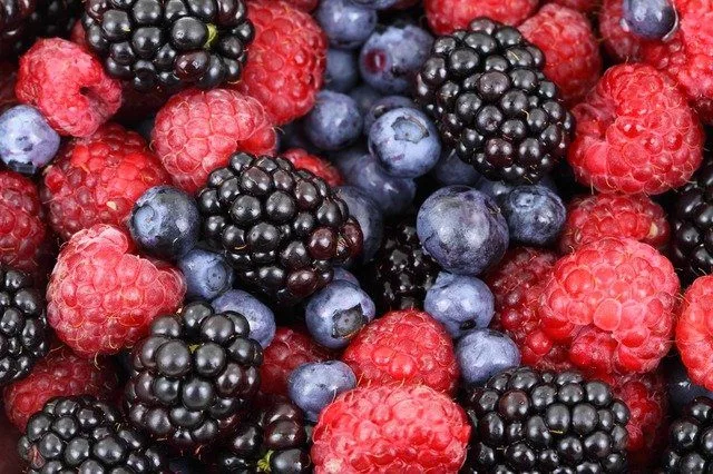 berries Health Benefits of Collagen