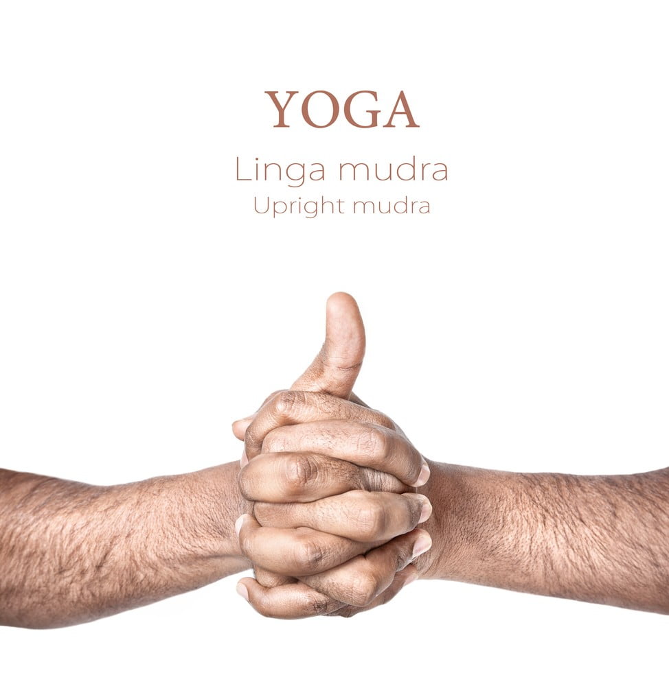 linga mudra