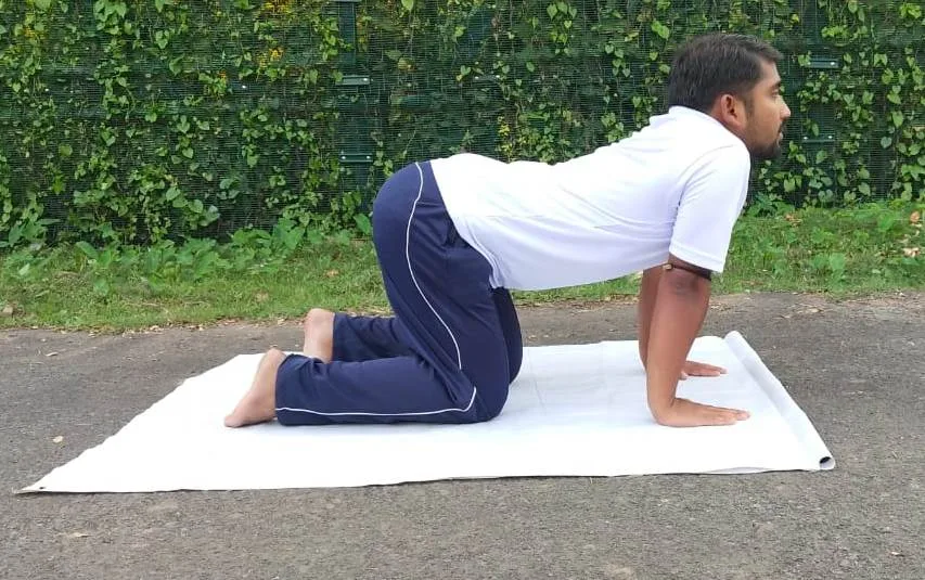 Cat Pose Scoliosis Exercises