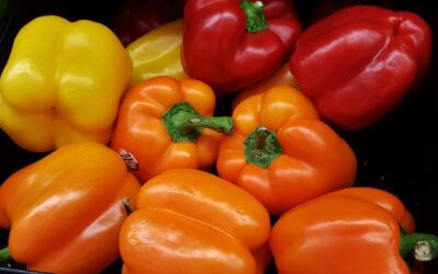 12 Health Benefits of Capsicum With Side Effects