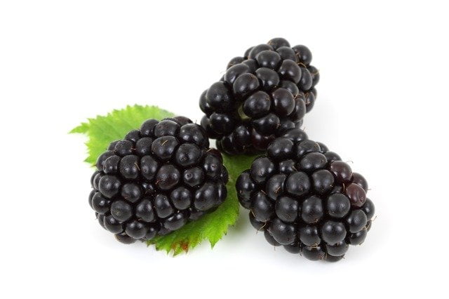 blackberry Fruits Healthiest Fruits In the World