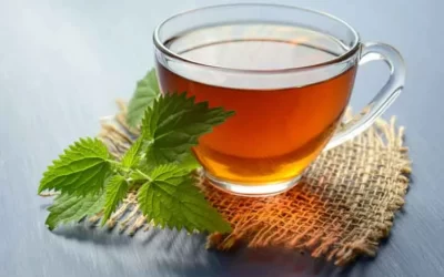 Which Herbal Tea Is Better For Your Overall Health