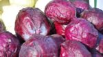 12 Health Benefits of Purple Cabbage