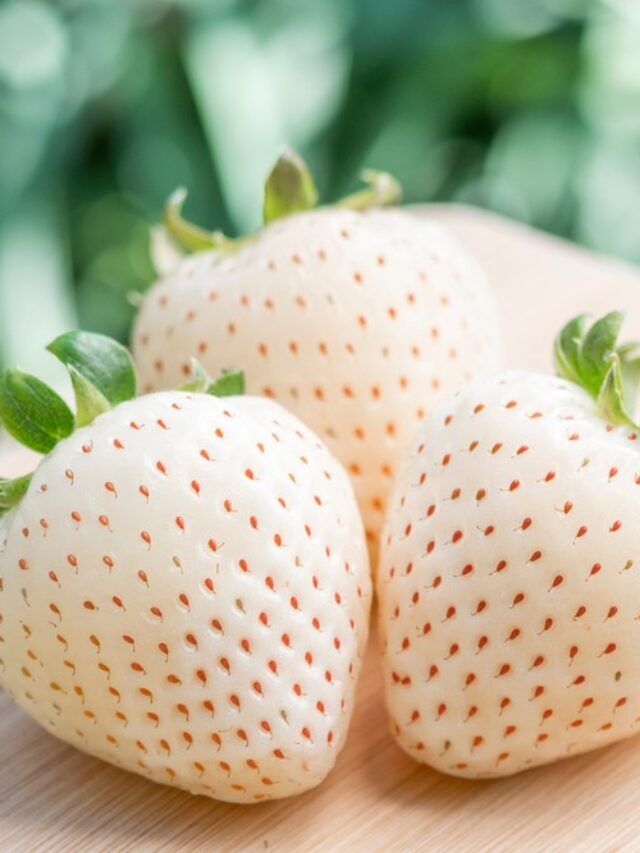 Health Benefits of White Strawberries