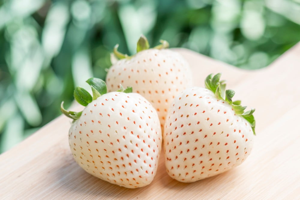 health benefits of white strawberries