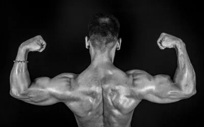 Simple 9 Exercise for Muscular and V Shape Back