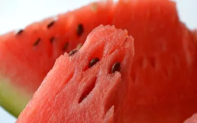 What Are The Health Benefits of Watermelon Seeds