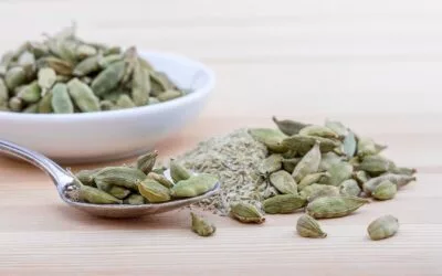 Amazing Health Benefits and Side Effects of Cardamom Oil