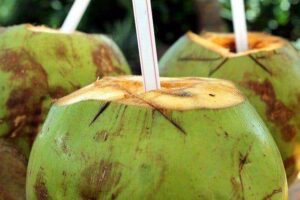 Coconut Water Homemade Juices Weight Loss