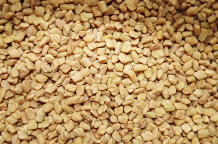 Health Benefits of Fenugreek Seeds