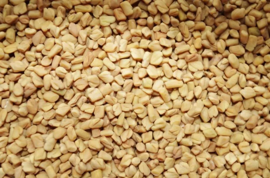 Health Benefits of Fenugreek Seeds