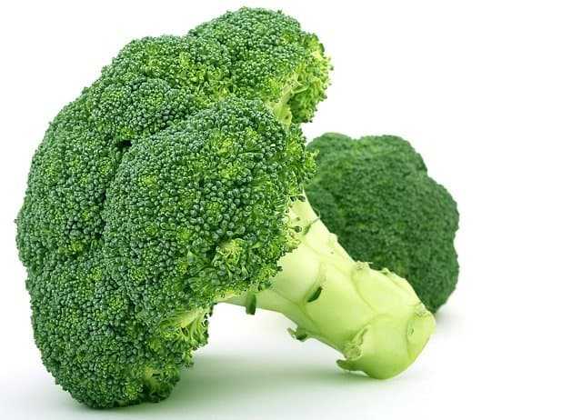 broccoli Nutrition Six Pack Abs