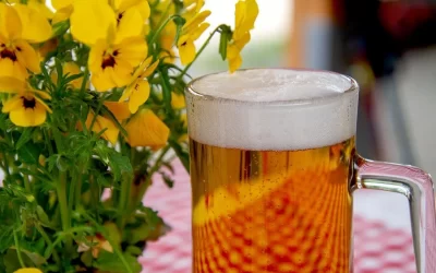 What Are The Health Benefits And Side Effects of Beer?