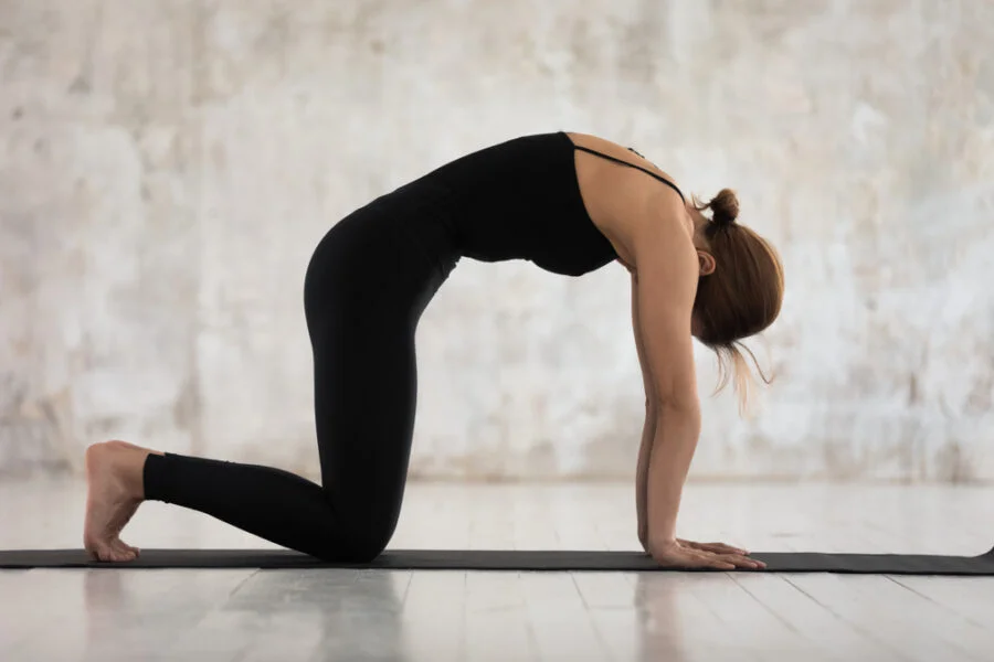 Bitilasana and Marjaryasana