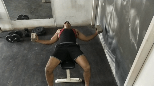 Flat Dumbbells Fly Chest Workout At Home With Brick