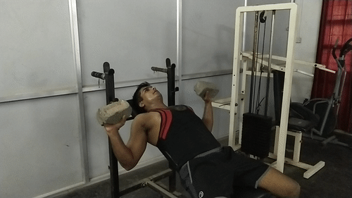 Incline Dumbbell Press Chest Workout At Home With Brick