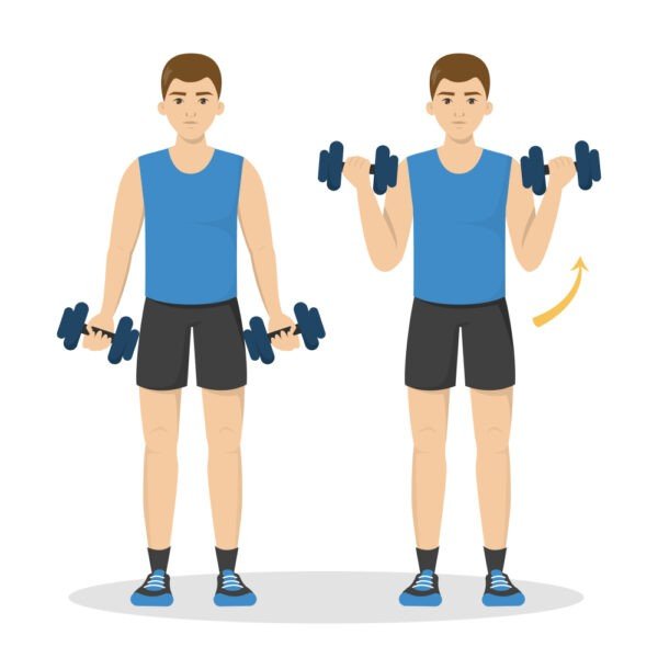 Bicep Curls Upper Body Exercises