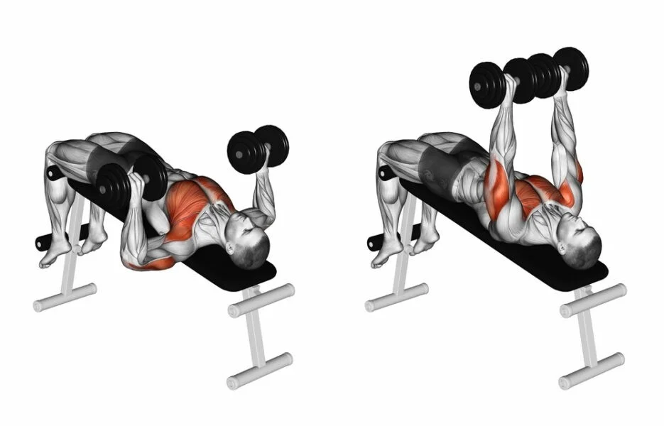 Decline Dumbbell Presses