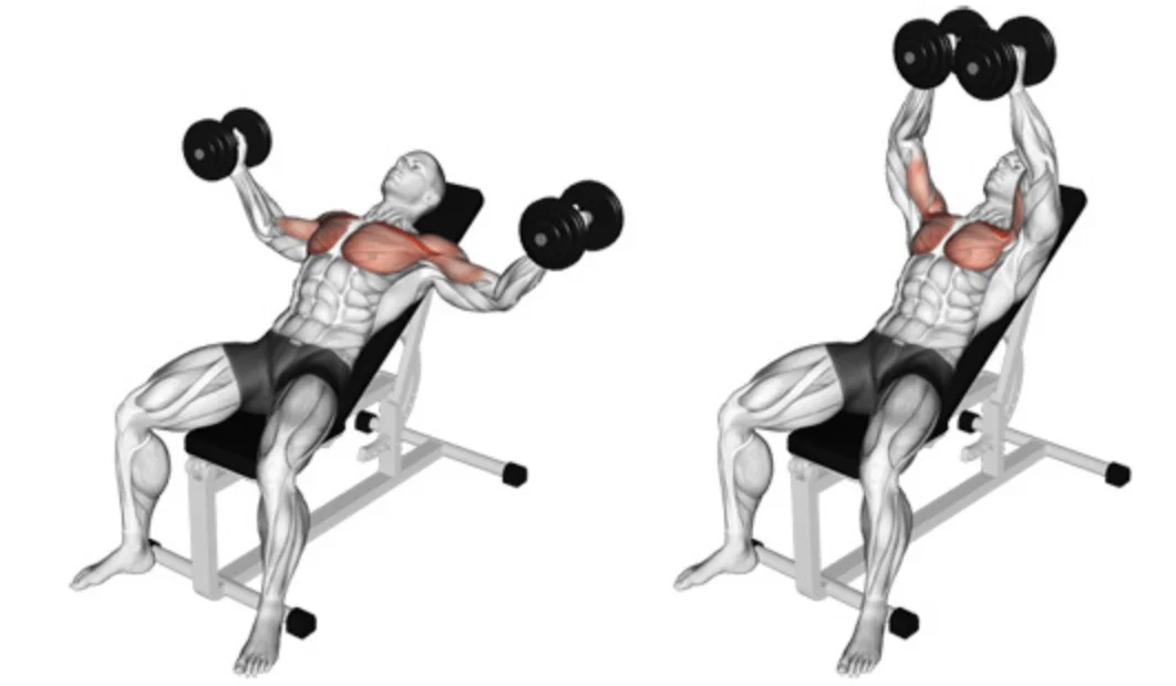 Incline Dumbbell Flys