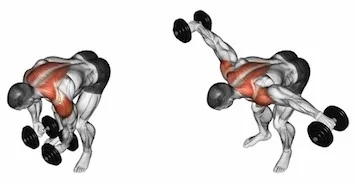 Standing Bent-Over Dumbbell Raises