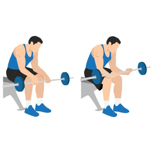 Wrist Curls Upper Body Exercises