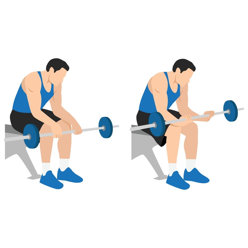 27 Best Upper Body Exercises for Strength and Mass » Fitness