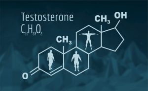 benefits of optimal testosterone