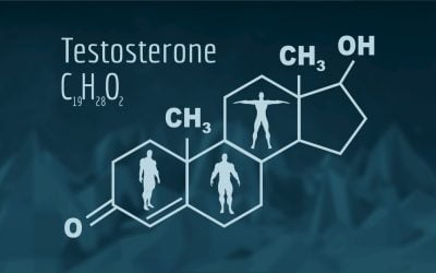 12 Important Benefits of Optimal Testosterone Level