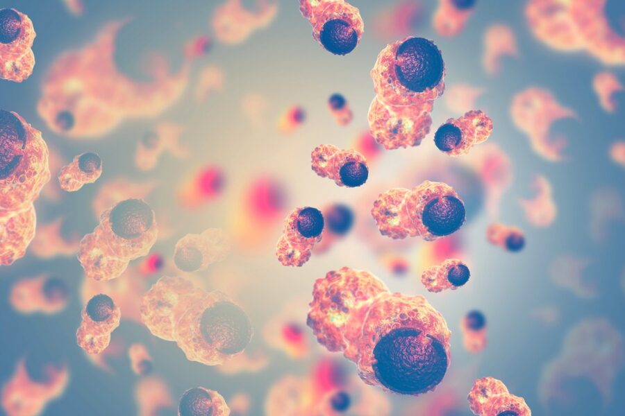 cancer cells Pakhala boost immunity