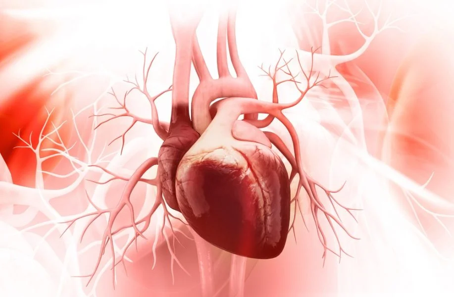 heart risk Corona virus