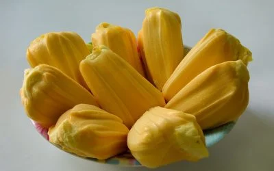 jackfruit a superfood