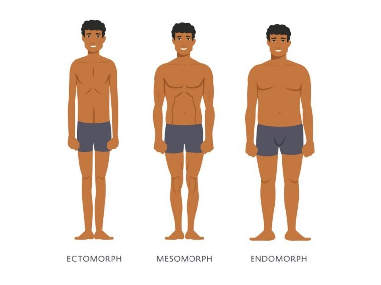 Routine and Diets for Men and Their Body Types.