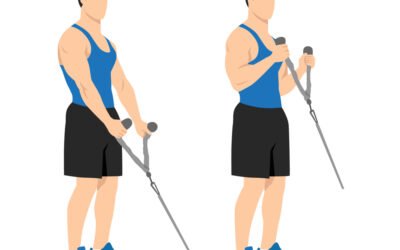 Cable Hammer Curl : Benefits and Steps