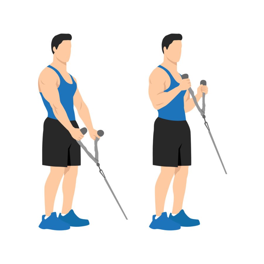 Cable Hammer Curl Benefits and Steps » FreakToFit
