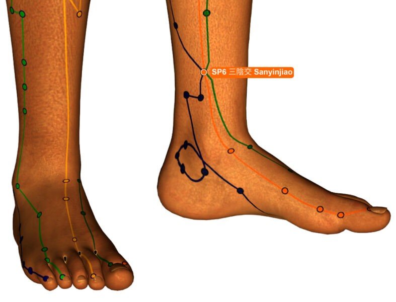 Inner Ankles – Sanyinjiao (SP6) Acupressure Points for Weight Loss