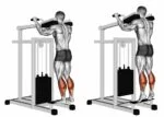 Calf Raise Machine