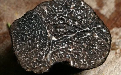 What Does Black Truffle Taste Like