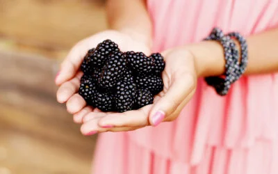 Benefits of Blackberries for Skin