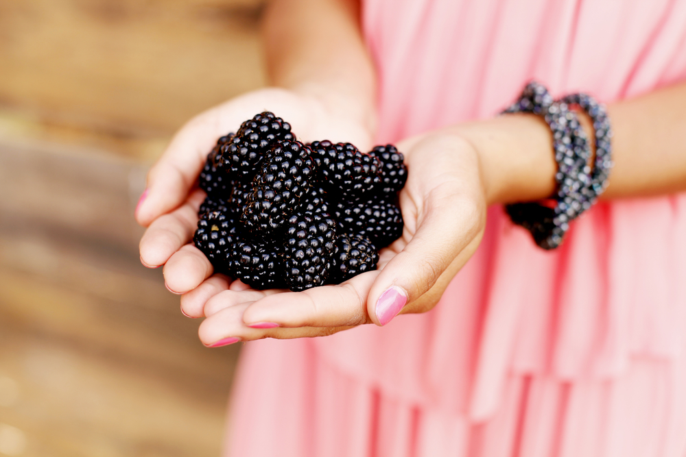 Benefits of Blackberries for Skin