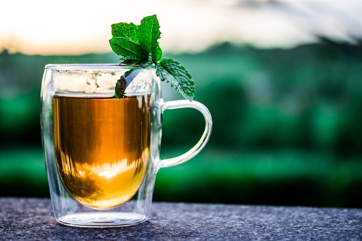 White Tea vs Green Tea Which Is Healthier?
