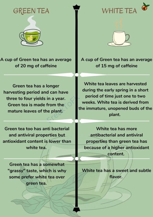 White Tea vs Green Tea Which Is Healthier?
