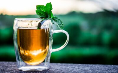 White Tea vs Green Tea : Which Is Healthier?